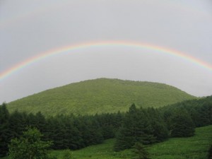 きれいな虹が見えました