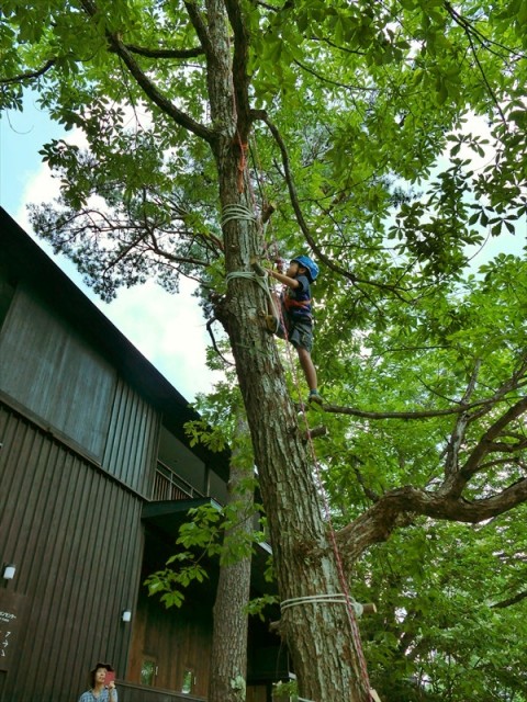 トップロープで確保しながらの木登り